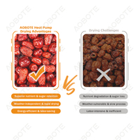 Séchoir à Dattes Uniforme, Sécheuse à Fruits Meyve Kurutma Makinesi, Capacité 360KG, Économie d'Énergie, Réduction des Déchets, Four à Sécher les Dattes