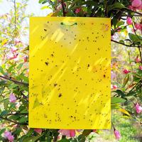 Pièges collants jaunes pour légumes d'extérieur, imperméables et résistants au soleil, pièges double face pour moucherons, pucerons, mouches