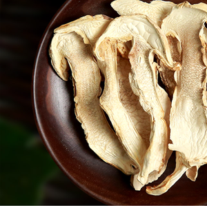 Hongo seco <span class=keywords><strong>Tricholoma</strong></span> <span class=keywords><strong>matsutake</strong></span> de calidad natural a precio completo para sopa - Product Image 6