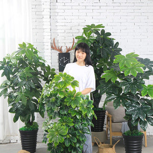 Grand arbre à monnaie artificiel, plante d'intérieur <span class=keywords><strong>en</strong></span> plastique, arbre artificiel pour la décoration intérieure, personnalisable, fabriqué <span class=keywords><strong>en</strong></span> Chine - Product Image 4