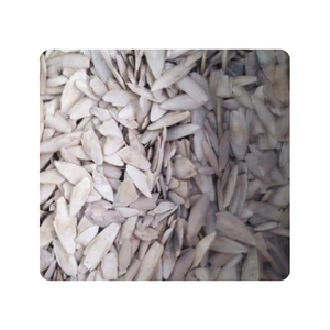 Hueso de Sepia de Alta Calidad para Suplemento de Calcio Aviar y Material Orgánico Puro para el Mantenimiento Sostenible del Hábitat de las Mascotas - Product Image 6