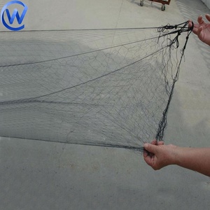 Filet de maille en Nylon de contrôle des oiseaux 100 pièces 20X30Cm filet de jardin <span class=keywords><strong>Anti</strong></span>-oiseau de lutte antiparasitaire 5G Agriculture filet <span class=keywords><strong>Anti</strong></span>-oiseau pour le riz - Product Image 5