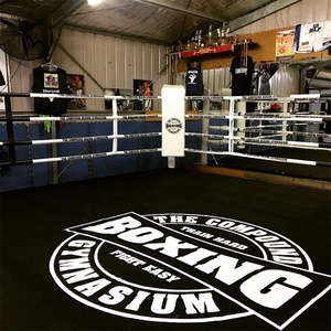 Sacos <span class=keywords><strong>de</strong></span> <span class=keywords><strong>boxeo</strong></span> estándar WBC, ring <span class=keywords><strong>de</strong></span> lucha libre <span class=keywords><strong>de</strong></span> color personalizado, juguete a bajo <span class=keywords><strong>precio</strong></span> - Product Image 6