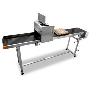 Máy in phun mã số trứng công nghiệp băng tải nhiều màu, máy in ngày sản xuất trứng - Product Image 5