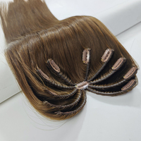 Extensions de cheveux humains vierges naturelles, effet naturel, avec clips, queue de cheval