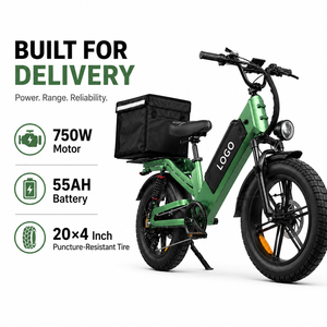 Bicicleta Eléctrica al por Mayor de 48V 55Ah con 240km de Autonomía, 750W, Neumáticos Anchos, Sistema Impermeable, Bicicleta Eléctrica para Trabajo de Reparto - Product Image 1