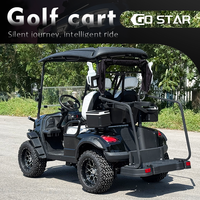 Carrito de Golf de 2 Pasajeros Equipado con Batería de Plomo-Ácido, Plataforma de Carga Grande, Vehículo de Doble Uso para Pasajeros y Carga, Ideal para Villas y Parques