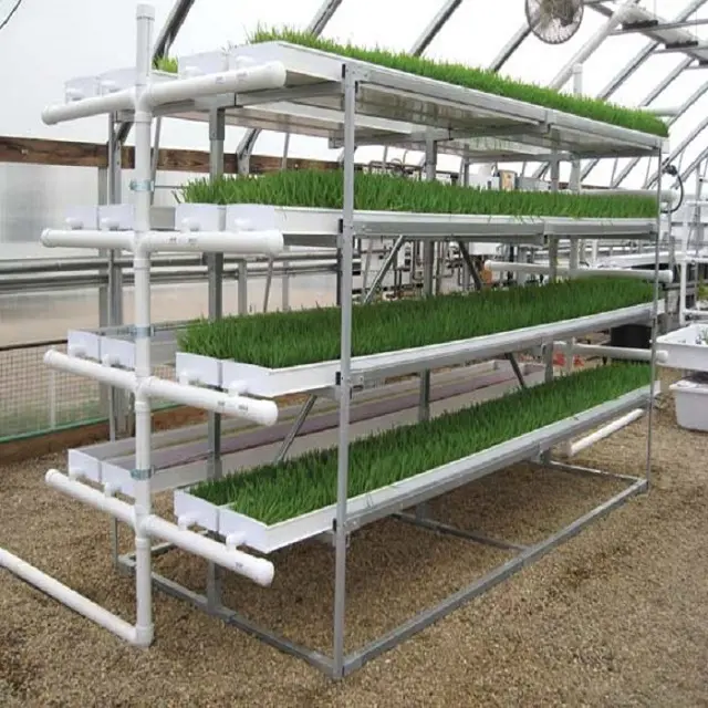 One one Automatic agriculture animal fodder hydroponic feed processing vertical farming systems