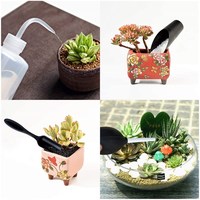 Set di attrezzi da giardino all'ingrosso per piantare 13 Pack attrezzi per piante con borsa attrezzi a mano Kit per Bonsai
