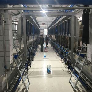 新しいデザインの電子計量搾乳パーラー自動牛機械システム - Product Image 6