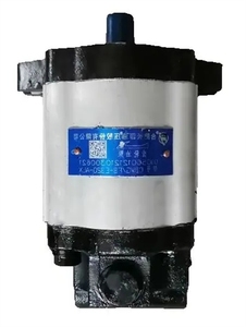 nouvelle pompe à huile hydraulique CBWG-FB-E316-ALX 320 - Product Image 2