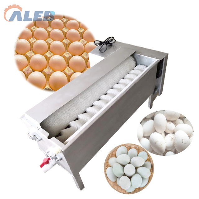 Egg Cleaner Machine Egg Washing Cleaning Machine Egg Brush Machine Washer for Salted