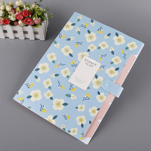 <span class=keywords><strong>2025</strong></span> Hot Bán <span class=keywords><strong>PP</strong></span> tùy chỉnh màu sắc logo dễ thương hoa in 6-túi mở rộng tập tin thư mục cho các trường học văn phòng sinh viên tài liệu - Product Image 3