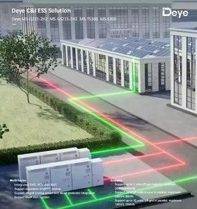 Deye ระบบเก็บพลังงาน100Ah แบบ all-in-one RW-F5.3-2H3 RW-F5.3-1H3ไฮบริดกริด IP65โซลาร์เซลล์แบตเตอรี่ลิเธียมรับประกัน10ปี - Product Image 6