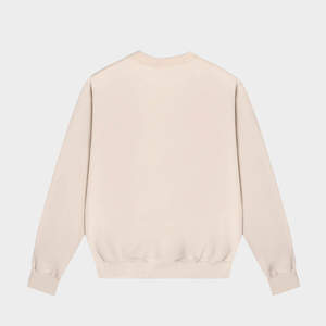 100% coton français éponge chaud personnalisé brodé imprimé pull décontracté surdimensionné col rond à manches longues hommes sweat - Product Image 4