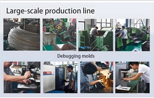 Tùy chỉnh 20mm M12 18mm M20 8mm M6 16mm M10 M16 M24 mở rộng nêm Neo thép không gỉ mạ kẽm kẽm inch bê tông Bolt - Product Image 5