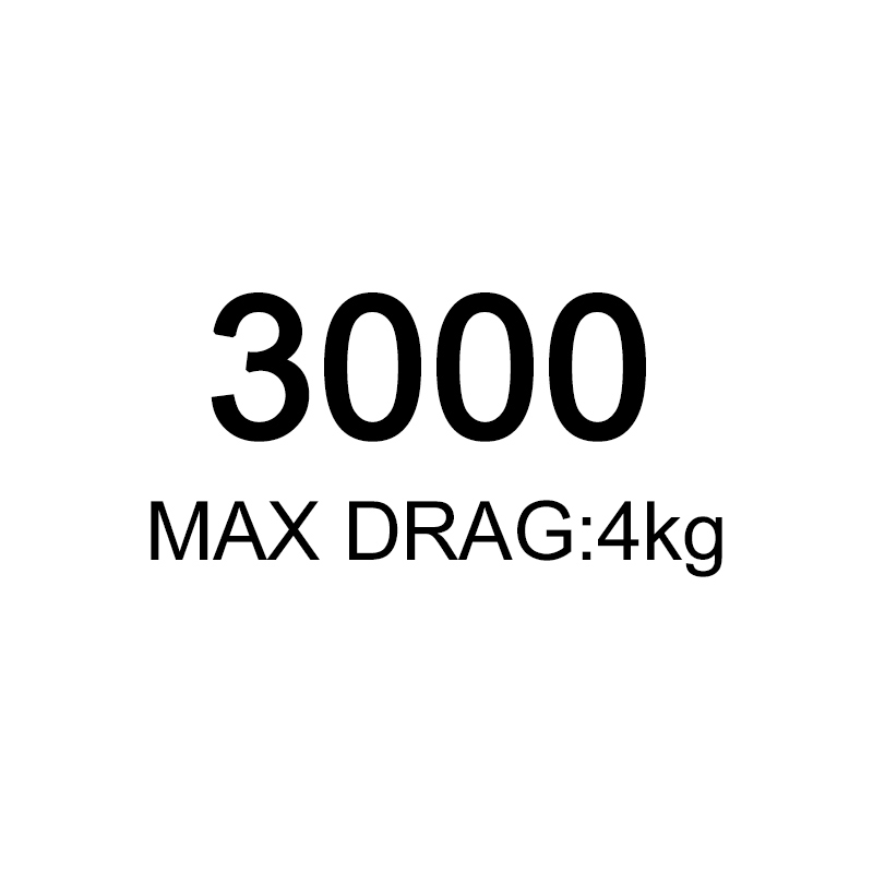 3000