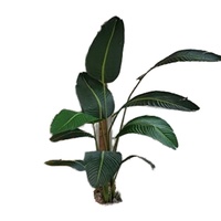 Ventes d'usine, plantes artificielles simulées de 2200 mm de haut, palmiers bananiers modernes
