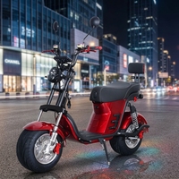 Scooter électrique Citycoco 1000W 1500W 3000W 60V en alliage d'aluminium, étanche, pour adultes, longue autonomie, pour les trajets en ville