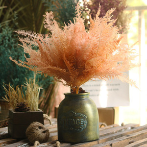 Vente en gros de fleurs séchées naturelles, vraies plantes, <span class=keywords><strong>fougère</strong></span> éternelle, feuilles de <span class=keywords><strong>fougère</strong></span> conservées pour la décoration intérieure - Product Image 5