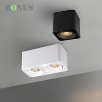 Spot LED rectangulaire à double tête rotative 12W*2, montage en surface, COB