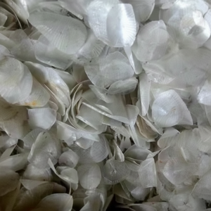 เครื่องชั่งปลานิลแห้ง/Oreochromis SP - Product Image 1