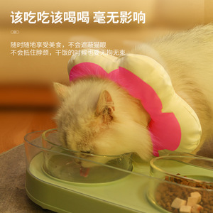Collier imperméable à motif floral pour animaux de compagnie, collier anti-léchage de type collier élisabéthain, collier réglable pour chat, vente en gros transfrontalière. - Product Image 5