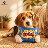 Jouet pour animaux de compagnie BOOM Comic, mini oreiller moelleux et doux avec imprimé de dessin animé, jouet en peluche pour chats et chiens