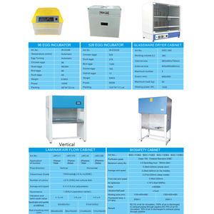 <span class=keywords><strong>Armoire</strong></span> de séchage pour verrerie de laboratoire 380L, pour tubes <span class=keywords><strong>à</strong></span> essai, flacons gradués, gobelets, fioles, béchers, séchage et stockage - Product Image 4