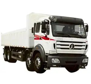 TL849R BEIBEN 덤프 트럭 가격 필리핀 팁 주는 사람