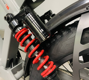 Vélo haute performance 1000W avec batterie au lithium intégrée et cadre en aluminium pour la conduite tout-terrain R8 PLUS Pneu large de 24 pouces D - Product Image 6