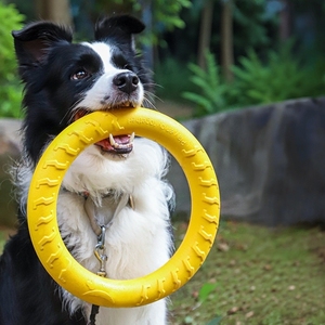 <span class=keywords><strong>Lansa</strong></span> EVA Haustier-Spielzeug Hunde-Zugring Seil-Knotenball Kauspielzeug Interaktives Training Hundeball Kau-Hundespielzeug - Product Image 6