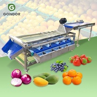 Pruimen Sortering Olijffruit Gewicht En Spoor Appel Mango Sorteermachine Voor Kiwi
