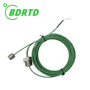 Capteur de température magnétique haute précision RTD Pt100/Pt1000, directement de l'usine - Product Image 3