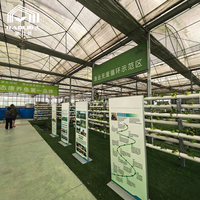 Système d'aquaponie en serre clé en main commercial, kit complet pour l'élevage biologique de poissons et de légumes
