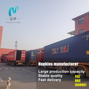 Cá Nhân Sang Trọng Bán Màu Khách Khăn Ăn Giấy Khăn Ăn Tinh Khiết Tùy Chỉnh Airlaid Khăn Ăn Với Thiết Kế Logo Vàng Bạc - Product Image 6