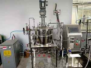 Fermenteur de bioréacteur cellulaire 2025 modèle de bioréacteur 3 dernières unités Formation d'installation gratuite Approuvé moderne - Product Image 2