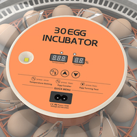 WONEGG Incubateur Commercial Économique pour 30 Œufs de Poule et d'Autruches à Vendre