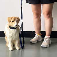Sangle élastique personnalisée pour animaux de compagnie Sangle de traction Sangle anti-déflagrant