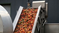 Turnkey fruitjam productielijn complete verwerkingsinstallatie voor aardbeien-, mango- en bosbessenjam met tube-in-tube UHT-sterilisator