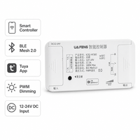 Driver LED Dual Output Tuya Zigbee Smart Dimmer BLE Mesh 2.0 12-24V 300W PWM Dimmable SELV
