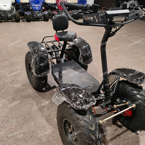 Scooter Todoterreno de Alto Rendimiento con 4 Ruedas, Batería de 50Ah/80Ah, Velocidad de 75 km/h - Product Image 4