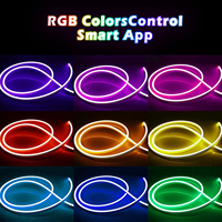 Offre Spéciale 1 Cm Cut 5M 10M 50M 100M Ip67 RGB Rgbic Silicone Led Neon Light Strip 12V 24V 220V Flexible Soft Led Neon Flex