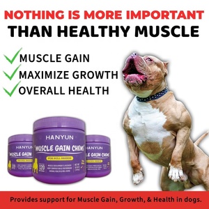 Supplément nutritionnel <span class=keywords><strong>délicieux</strong></span> pour chien de compagnie en gros personnalisé Gain musculaire à mâcher Supplément vitaminique Supplément musculaire pour chien - Product Image 4