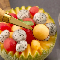 304 RVS Meloenballetjesvormer Schilmes Fruit snijmes Watermeloen sculptuurmes Fruit snijgereedschapset