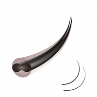 Extensions de cils individuels de qualité supérieure, noirs mats, souples, à double pointe, forme ellipse, pour la vente en gros aux fournisseurs de salons