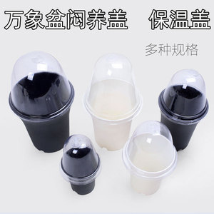 Plastic <b>Pot</b> Round Size With Breathable Cover For Home Gardening Desktop Use - Product Image 3