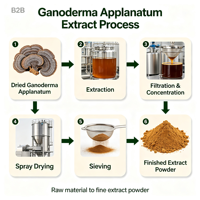 Extrait de Ganoderma Applanatum sauvage en poudre 20:1