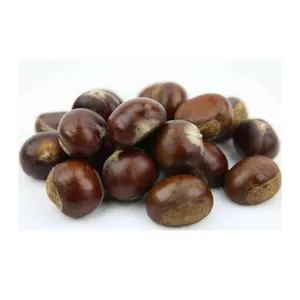 100 pounds of fresh chestnuts and oil chestnuts in 2024