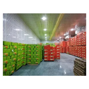 Factory hot sale cold storage cold room cooling system